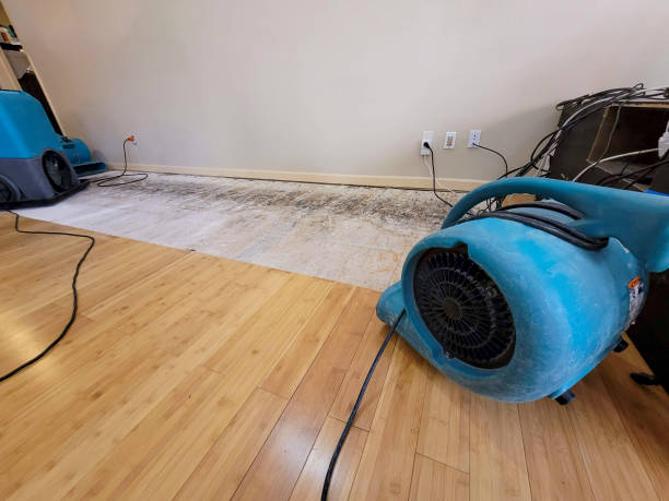 Professional Burst Pipe Water Damage technician working in Saint Libory, IL